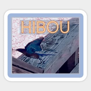 Hibou Sticker